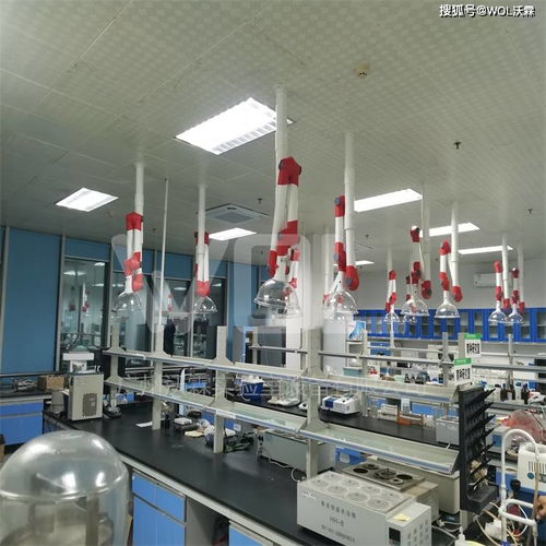 農產品檢測實驗室完工效果圖展示與技術服務介紹